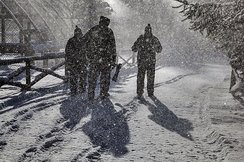 _MG_6703  -Braving the Elements.jpg :: Pictures at any cost