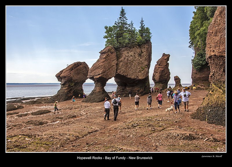 _MG_7071 -Hopewell Rocks -NB.jpg :: Hopewell Rocks -Flowerpots in the Bay of Fundy