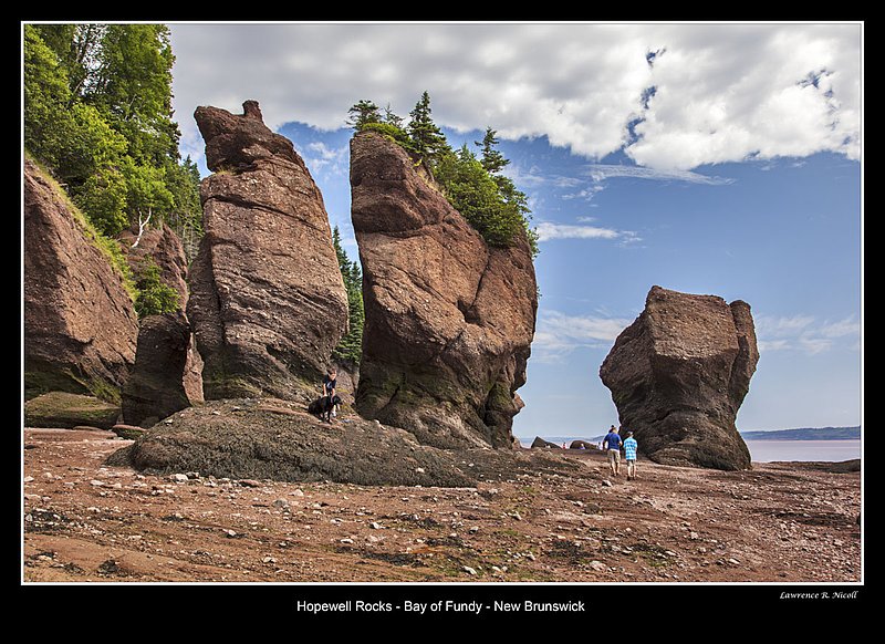 _MG_7104 -Hopewell Rocks -NB.jpg :: Hopewell Rocks -Flowerpots in the Bay of Fundy
