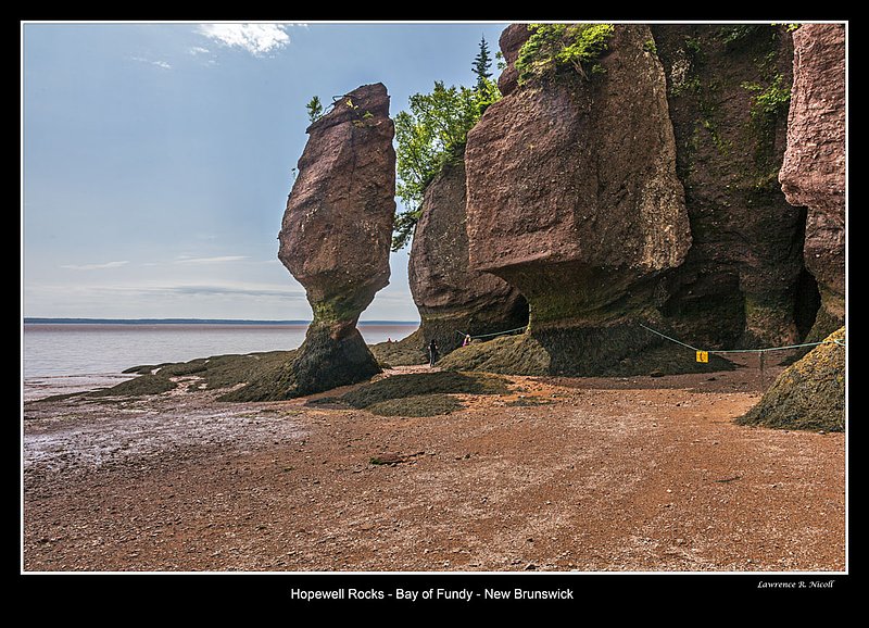 _MG_7146 -Hopewell Rocks -NB.jpg :: Hopewell Rocks -Flowerpots in the Bay of Fundy