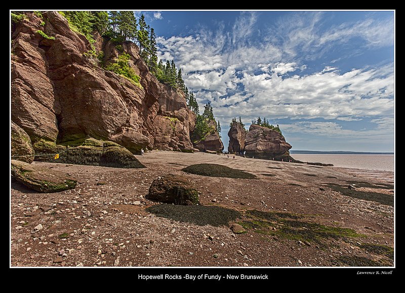 _MG_7333 -Hopewell Rocks -NB.jpg :: Hopewell Rocks -Flowerpots in the Bay of Fundy