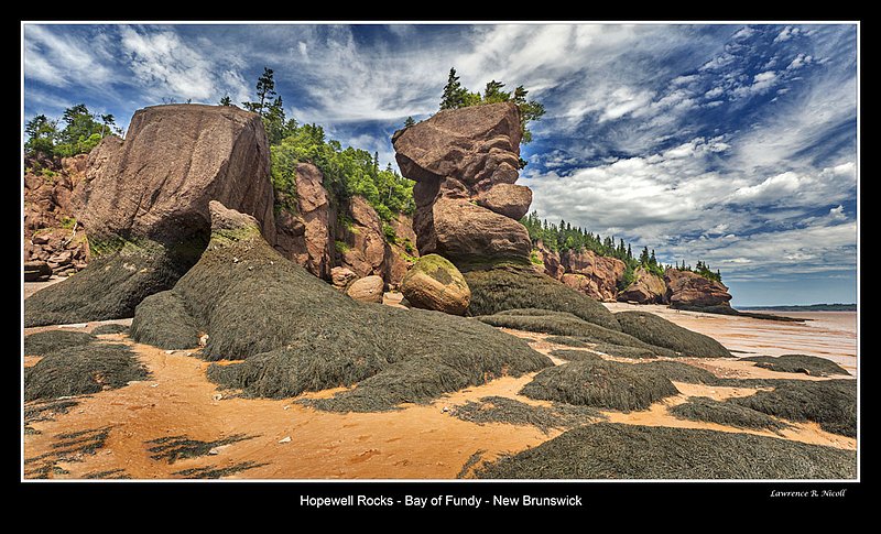 _MG_7443-7457 -Hopewell Rocks -NB.jpg :: Hopewell Rocks -Flowerpots in the Bay of Fundy