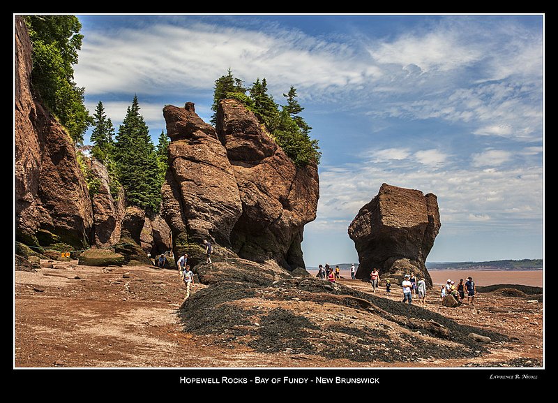 _MG_7725 -Hopewell Rocks -NB.jpg :: Hopewell Rocks -Flowerpots in the Bay of Fundy