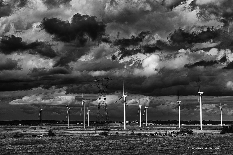 _MG_8713 -the Invaders advance.jpg :: Looking like invaders in the midst of battle