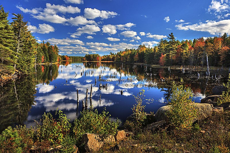 _MG_9625 -Quiet Moments at the Pond.jpg :: Fall reflections in a quiet pond