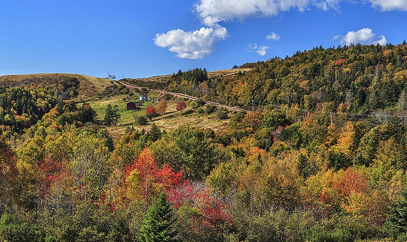 _MG_9857-9974 -Nestled in the Colours of Fall.jpg :: Fall Colours on the road to Advocate
