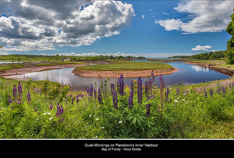 Nbr 06 -2016    June.jpg :: June 2016 Calendar