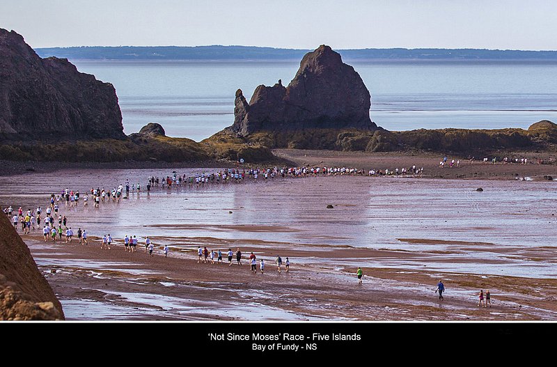 Nbr 07 -2016    July.jpg :: July 2016 Calendar