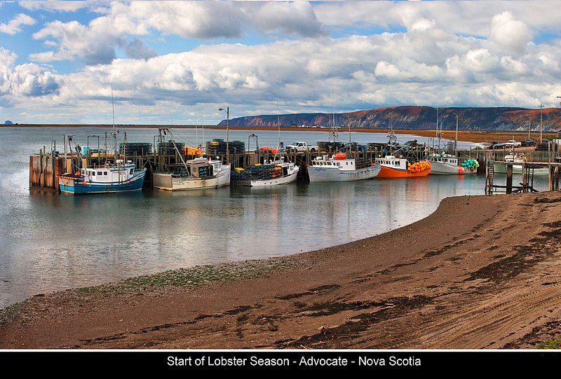 Nbr 11 -2016    November.jpg :: November 2016 Calendar