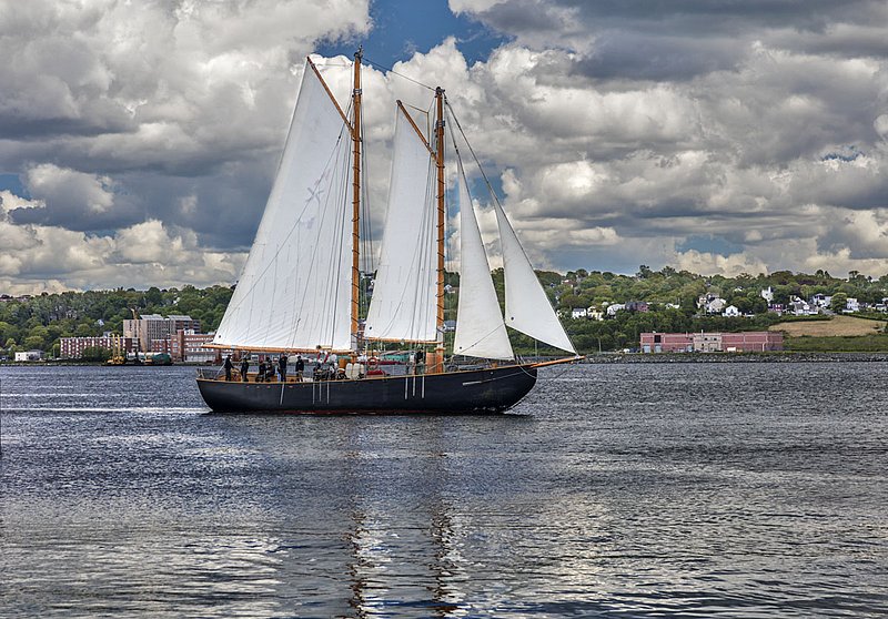 _LRN6423 -Katie Belle  sailpast.jpg :: Katie Belle sailpast in Halifax Harbour