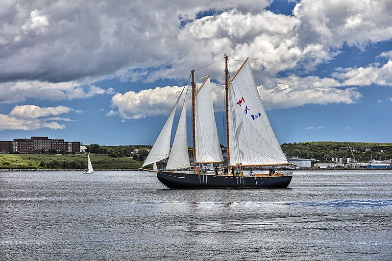 _LRN6568 -Katie Belle -Halifax Hbr.jpg :: Katie Belle in Halifax Harbour