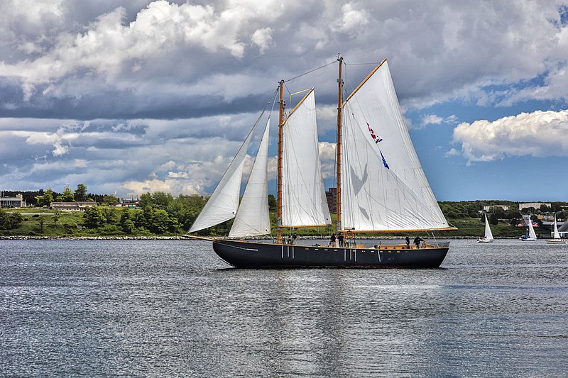 _LRN6587 -Katie Belle -Halifax Hbr.jpg :: Katie Belle in Halifax Harbour