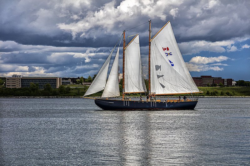 _LRN6599 -Katie Belle -Halifax Hbr.jpg :: Katie Belle in Halifax Harbour