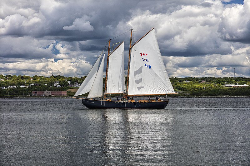 _LRN6617 -Katie Belle -Halifax Hbr.jpg :: Katie Belle in Halifax Harbour