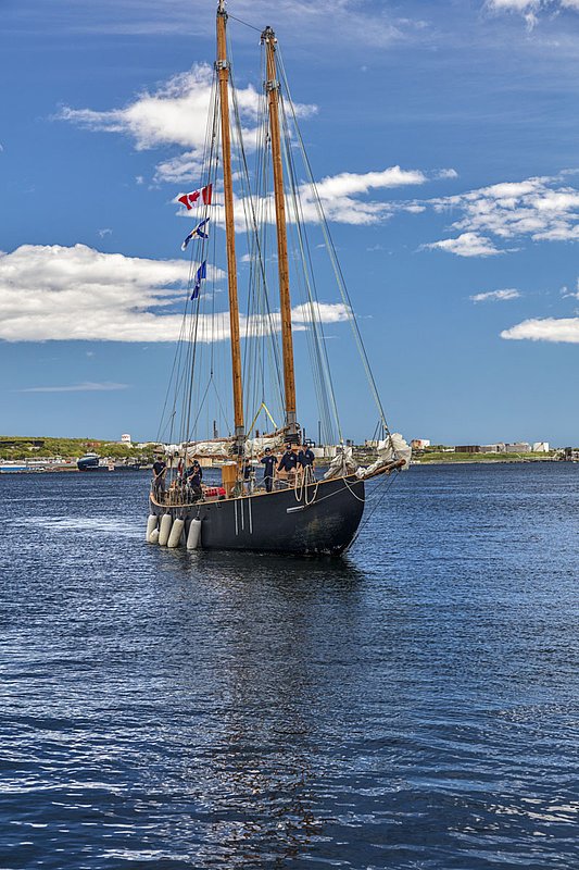 _LRN6864 -Katie Belle Coming into dock.jpg :: Sails furled, the Katie Belle comes home to Halifax Harbour