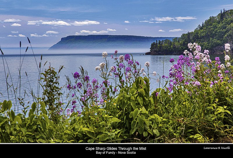 Nbr 05 -May 2017 -Cape Sharp Glides Through the Mist.jpg :: Cape Sharp Glides through the Mist in the Bay of Fundy
