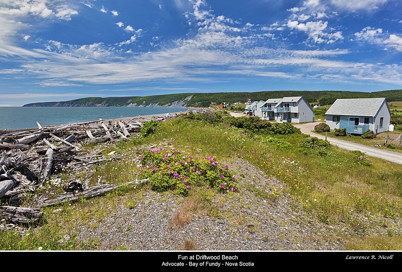 Nbr 07 -July 2017 -Fun at Driftwood Beach.jpg :: July 2017 -Fun at Driftwood Beach, West Advocate, Bay of Fundy, NS
