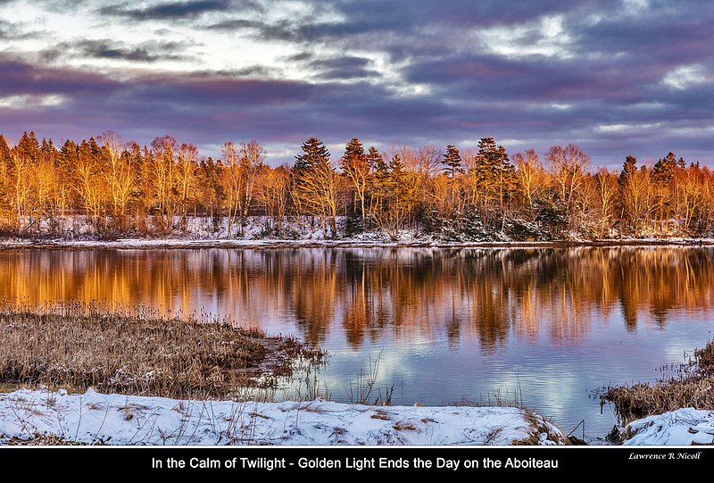 Nbr 11 -Nov 2017 -In the Calm of Twilight.jpg :: In the calm of twilight, Golden Light Ends the Day on the Aboiteau