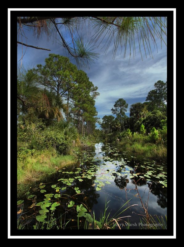 J.W.Corbett Wildlife Management Area.jpg