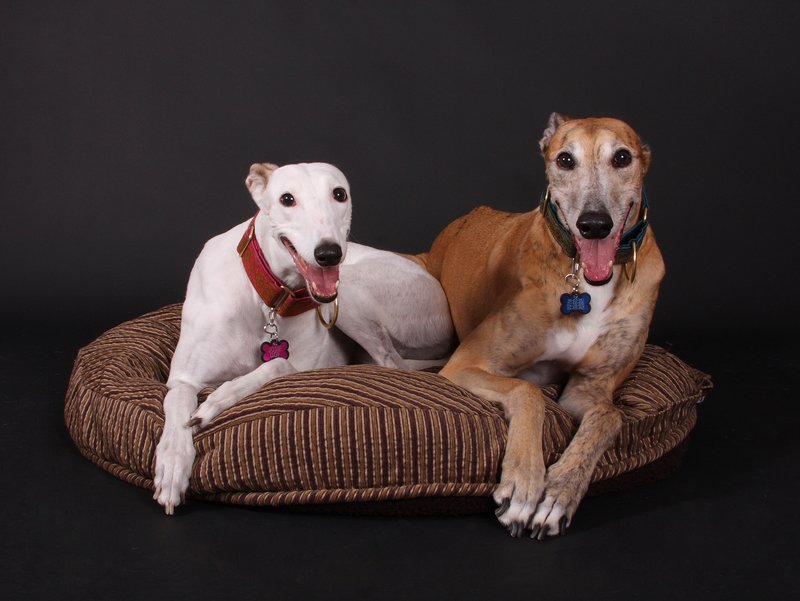 Josie and Gaylord.jpg