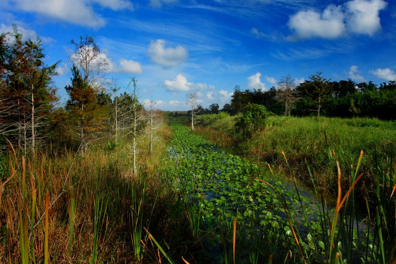 Loxahatchee National Wildlife Refuge.jpg