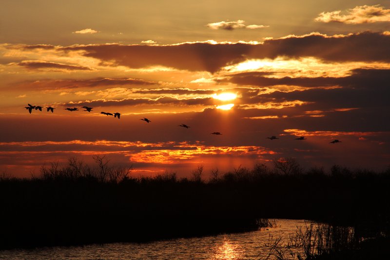 Loxahatchee Sunset-.jpg