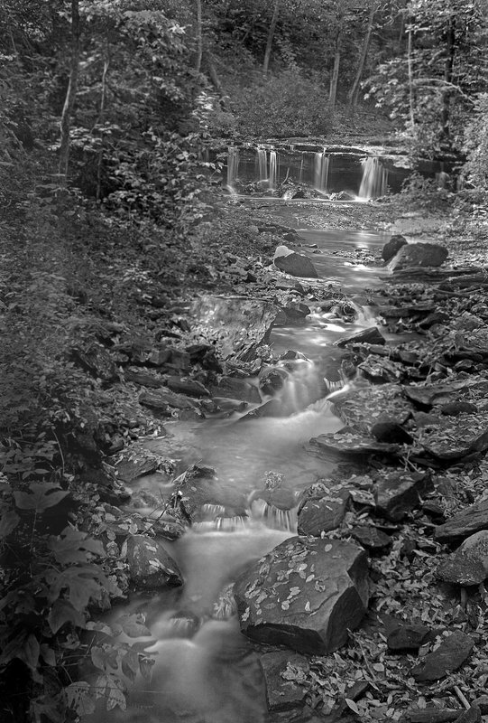 North Carolina Wilderness-.jpg