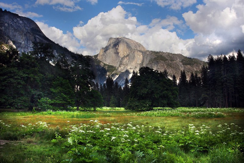 Yosemitie Valley..jpg