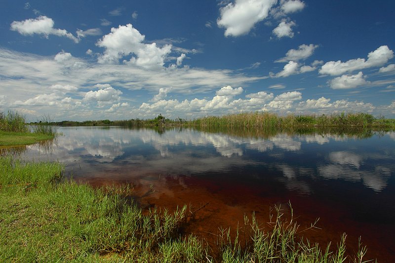 everglades 9-11.jpg