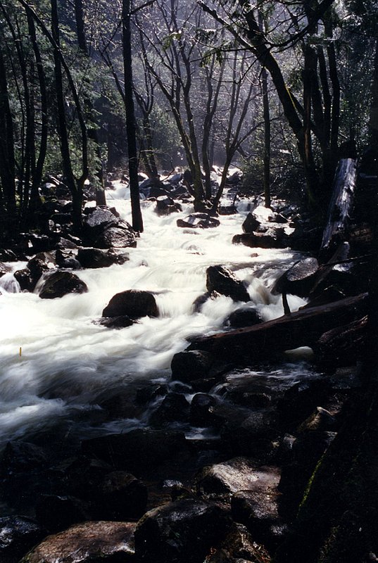 lower yos falls 1ca.jpg