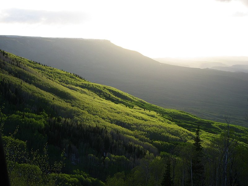 Come the Night.jpg :: Grand Mesa National Forest, Colorado
