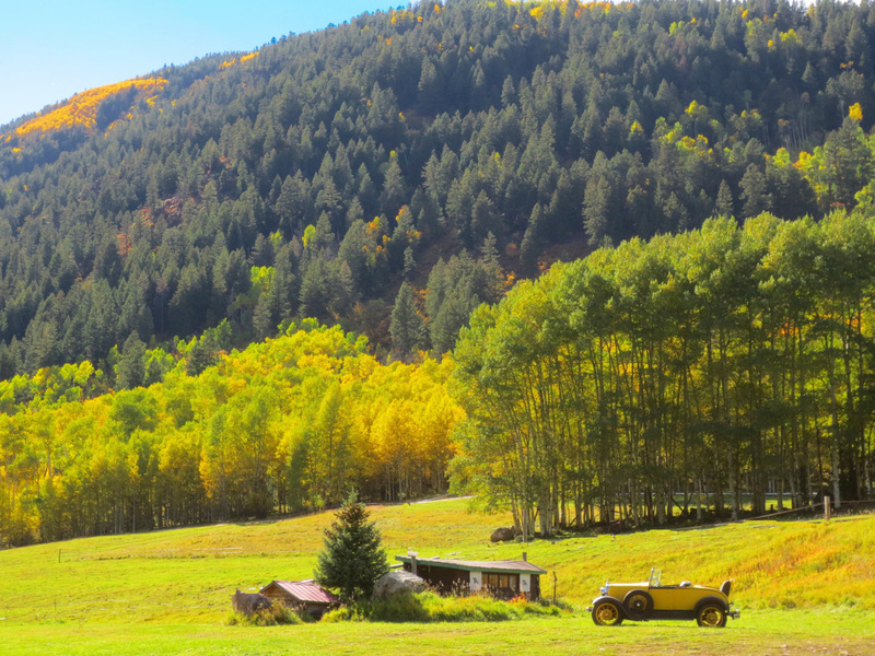 yellow dream_edited-300dpi1_edited-1.jpg