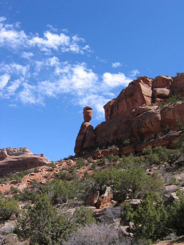 Balanced Rock.jpg :: Colorado National Monument, Fruita ,Colorado