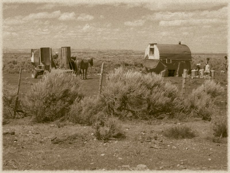 Basque Life.jpg :: Sheepmen