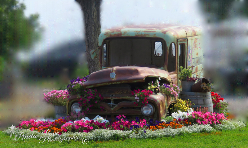 Bloom Where You Land.jpg