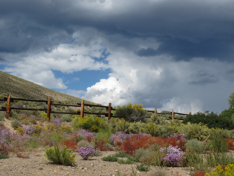Desert Storms.jpg :: Gunnison, Colorado