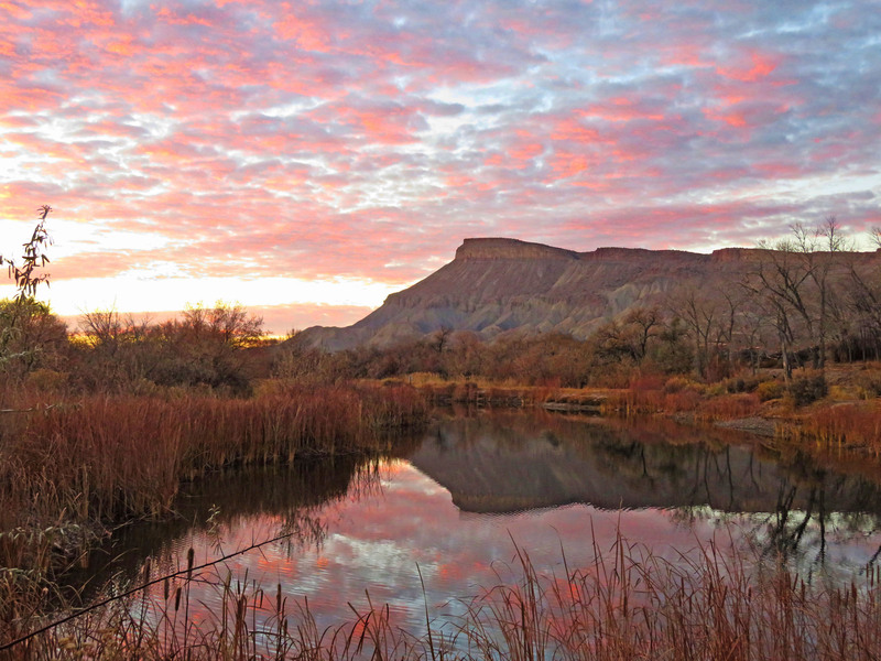 Fluff.jpg :: Mt. Garfield, Palisade Colorado