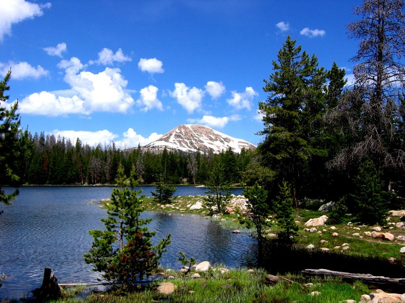 Lily Lake.jpg :: Lily Lake