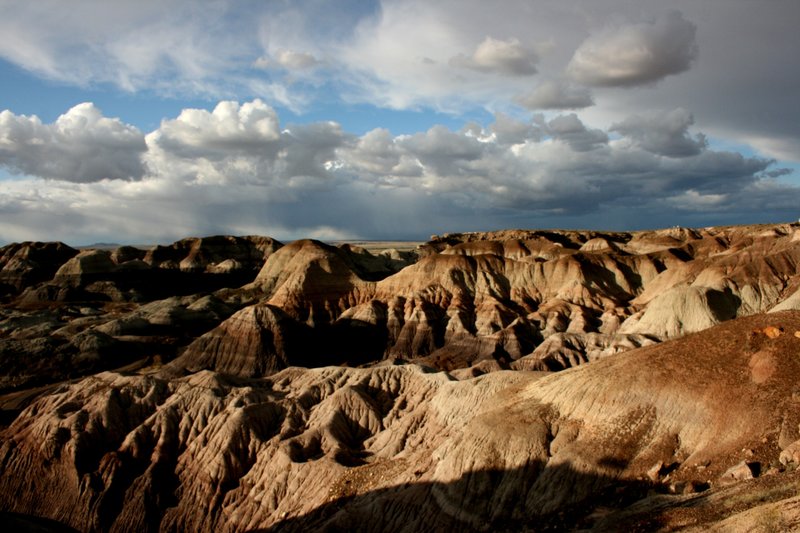 Lonely Times.jpg :: Shadows