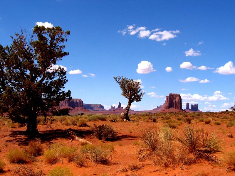 Monument Valley.jpg :: Red Land