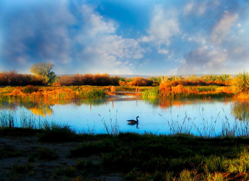 On Golden Pond.jpg :: Delta, Colorado