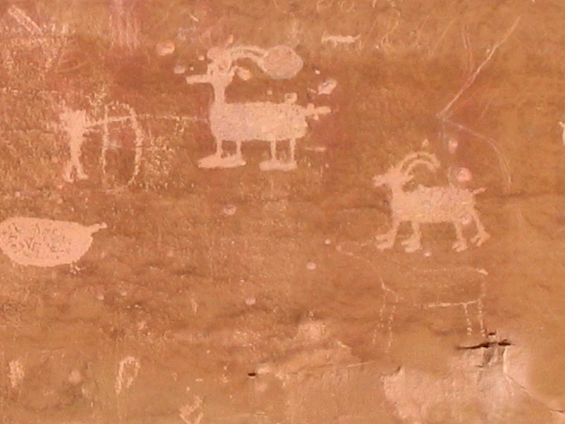 The Hunt.jpg :: Hunt