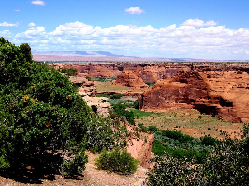 Valley Life.jpg :: Painted Land