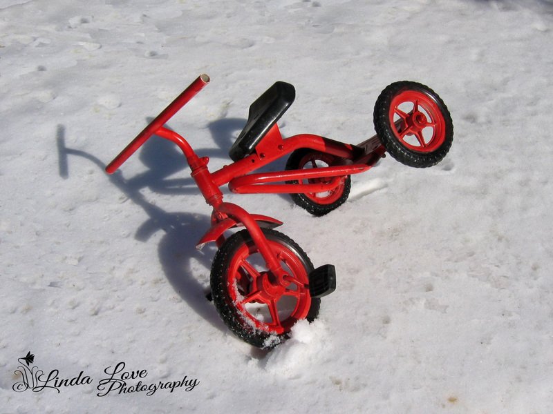 Waiting on Spring.jpg