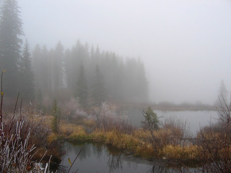 Walk in the Clouds.jpg