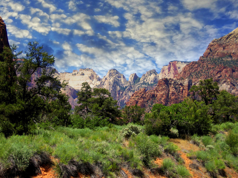 Where You Go.jpg :: Zion Utah