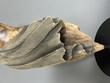 Gaias Daughter Detail 3.jpg