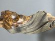 Gaias Daughter detail 4.jpg