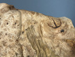 Spartacus Detail 2.jpg