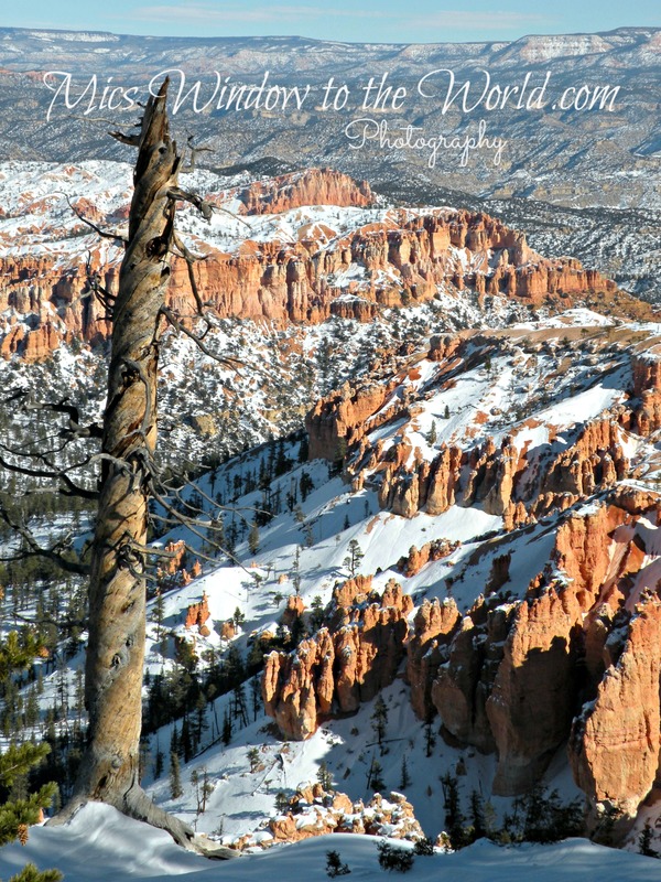 Bryce Natl Park Ut 6(1).jpg